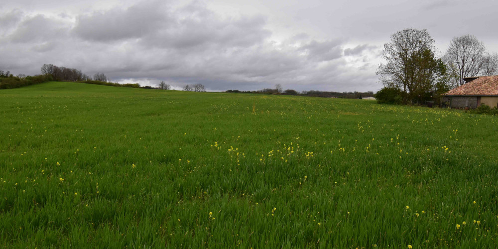 terrain à BOISSE (24560)