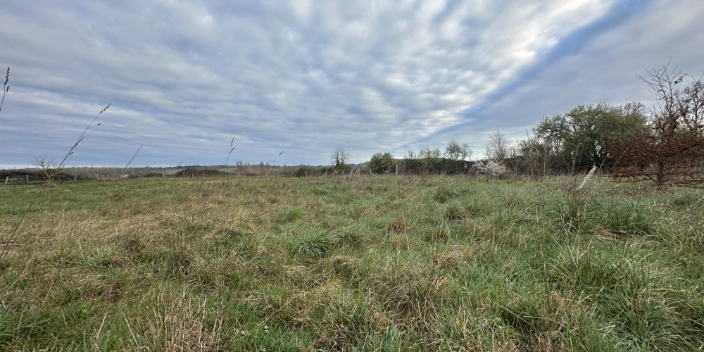 terrain à PARCOUL CHENAUD (24410)