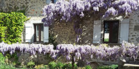 maison à ST BARTHELEMY DE BUSSIERE (24360)