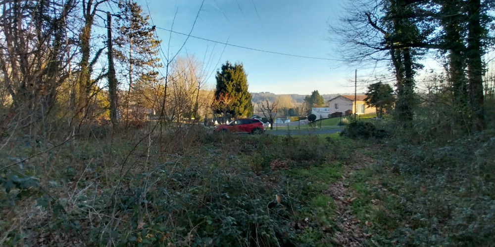 terrain à CHATEAU L EVEQUE (24460)