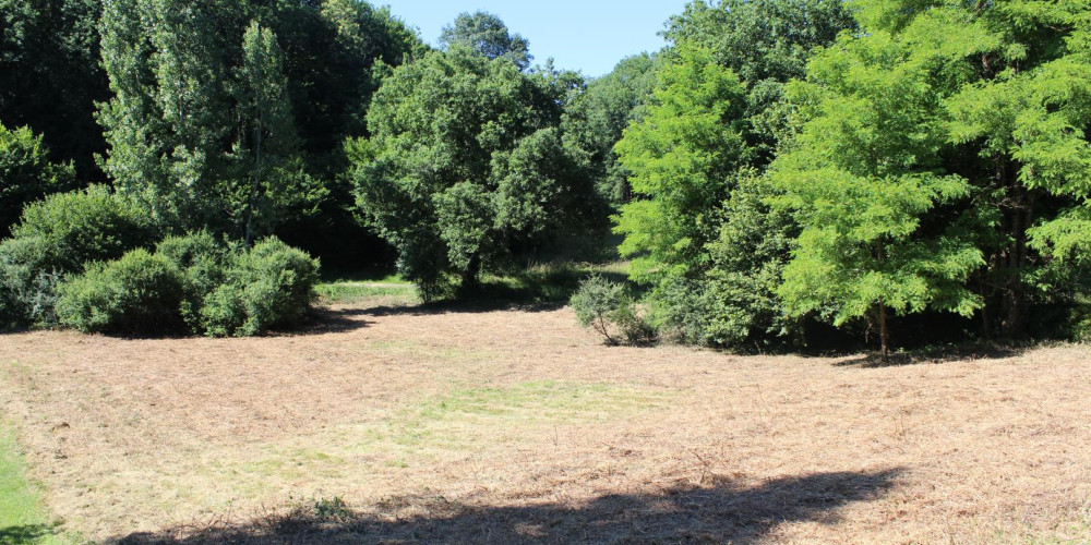 terrain à LE BUISSON DE CADOUIN (24480)