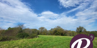 terrain à LALINDE (24150)