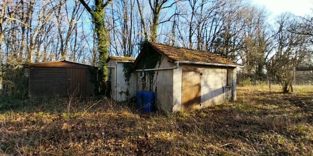 terrain à CHATEAU L EVEQUE (24460)