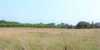 terrain à ST AUBIN DE CADELECH (24500)
