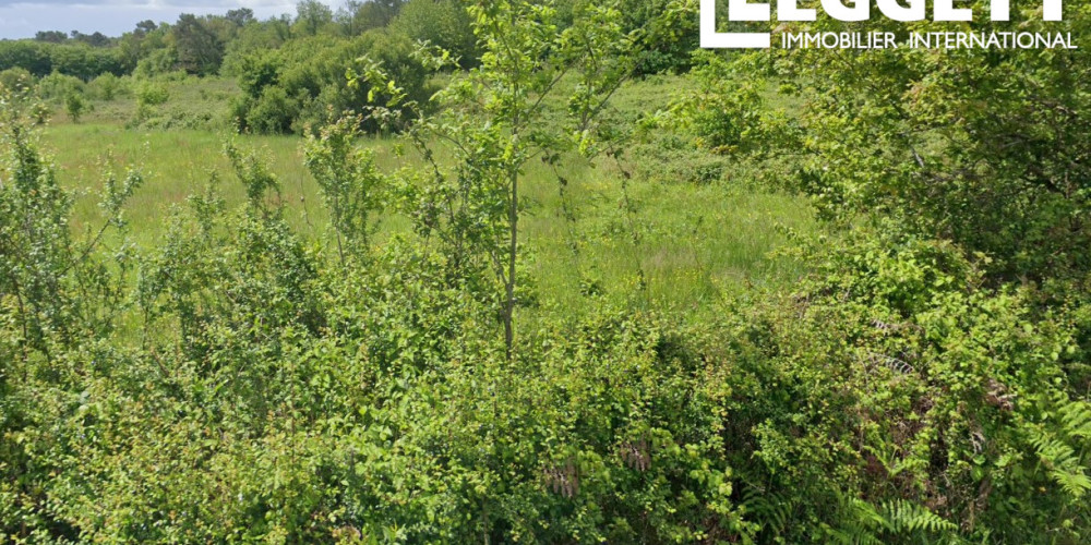 terrain à EYGURANDE ET GARDEDEUIL (24700)