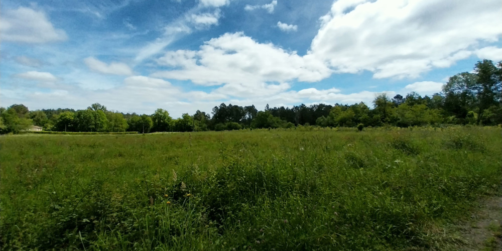 terrain à BUSSAC (24350)