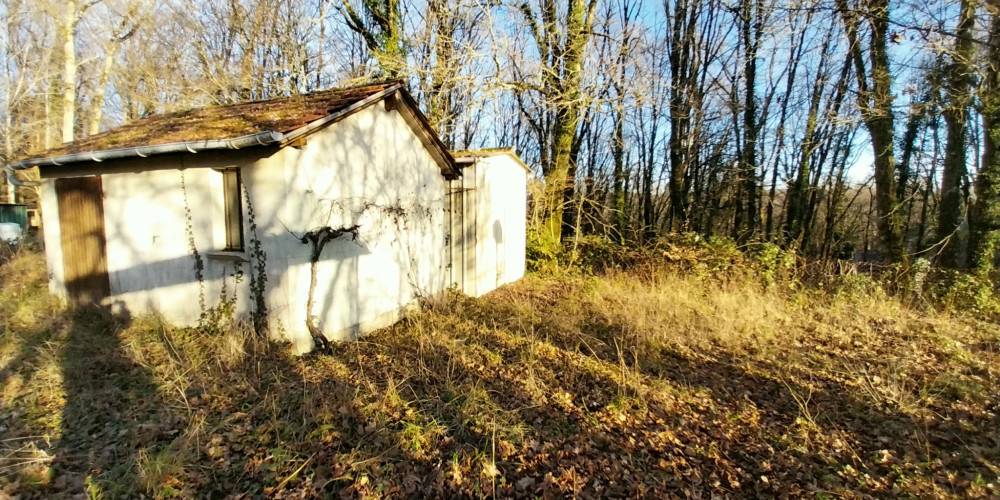 terrain à CHATEAU L EVEQUE (24460)