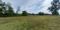 terrain à BEAUMONTOIS EN PERIGORD (24440)