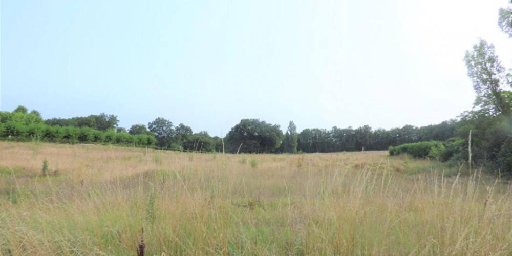 terrain à ST AUBIN DE CADELECH (24500)
