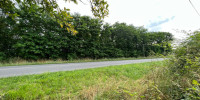 terrain à MENESPLET (24700)