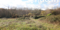 terrain à THONAC (24290)