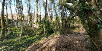 terrain à CHANCELADE (24650)