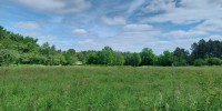 terrain à BUSSAC (24350)