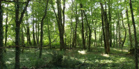 terrain à DOUCHAPT (24350)