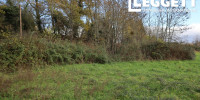 terrain à THONAC (24290)