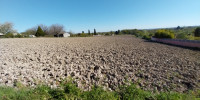 terrain à COULOUNIEIX CHAMIERS (24660)