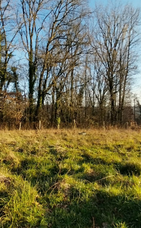 Terrain  CHATEAU L EVEQUE