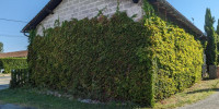 appartement à BERGERAC (24100)