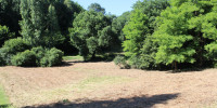 terrain à LE BUISSON DE CADOUIN (24480)