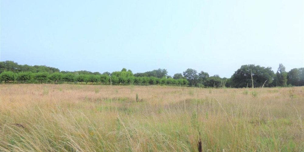 terrain à ST AUBIN DE CADELECH (24500)
