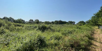 terrain à MENESPLET (24700)