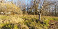 terrain à CHATEAU L EVEQUE (24460)