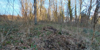 terrain à CHATEAU L EVEQUE (24460)