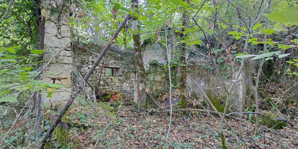 terrain à BRANTOME EN PERIGORD (24310)