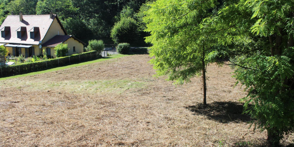 terrain à LE BUISSON DE CADOUIN (24480)