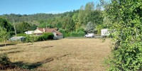 terrain à CHANCELADE (24650)