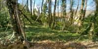 terrain à CHANCELADE (24650)