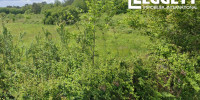 terrain à EYGURANDE ET GARDEDEUIL (24700)