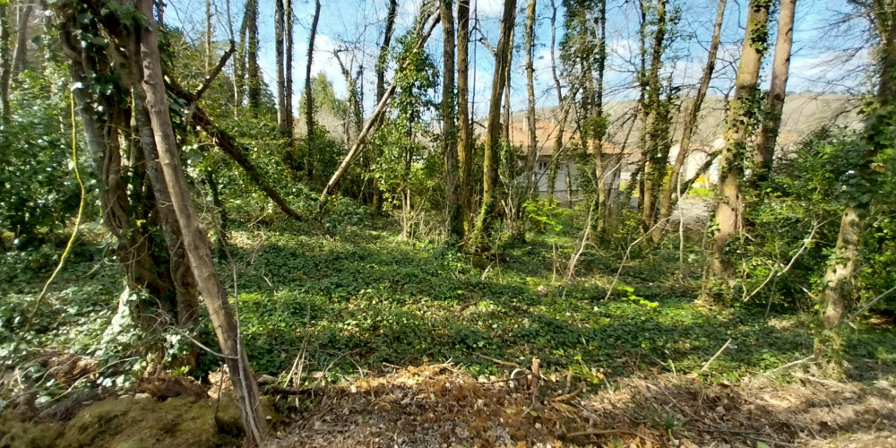 terrain à CHANCELADE (24650)