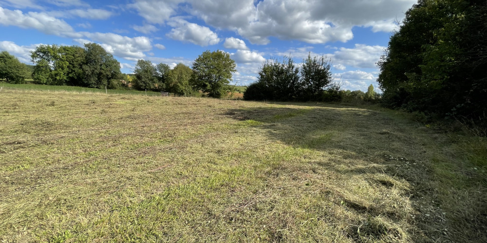 terrain à BEAUMONTOIS EN PERIGORD (24440)