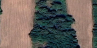 terrain à SIGOULES (24240)