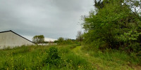 terrain à CHANCELADE (24650)