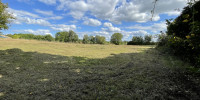 terrain à BEAUMONTOIS EN PERIGORD (24440)