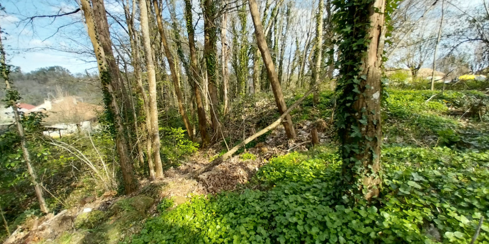 terrain à CHANCELADE (24650)