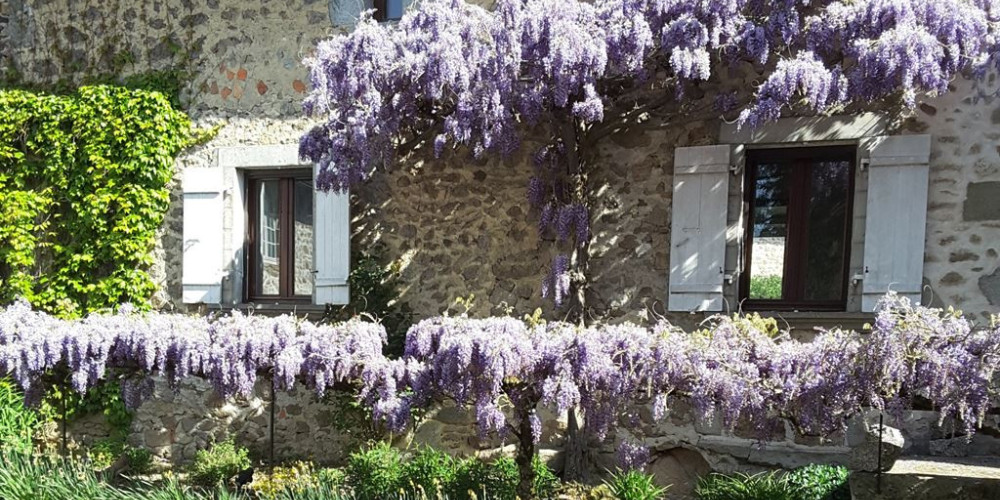 maison à ST BARTHELEMY DE BUSSIERE (24360)