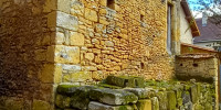 maison à ST LEON SUR VEZERE (24290)