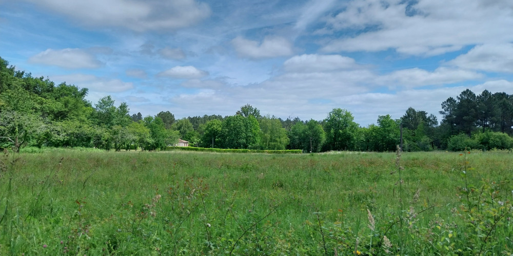 terrain à BUSSAC (24350)