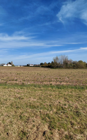 Terrain  ST PRIEST LES FOUGERES
