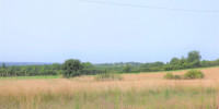 terrain à ST AUBIN DE CADELECH (24500)