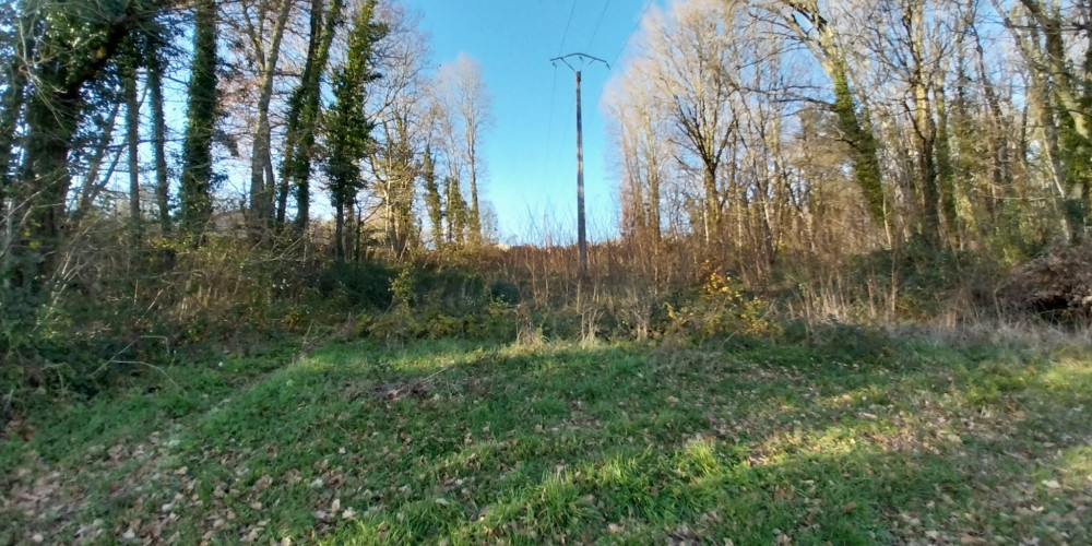terrain à CHATEAU L EVEQUE (24460)