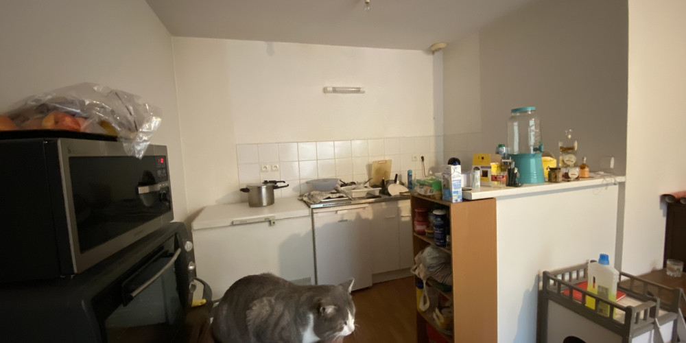 appartement à TRELISSAC (24750)