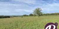terrain à MONSAC (24440)