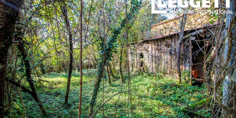 maison à ST FELIX DE VILLADEIX (24510)