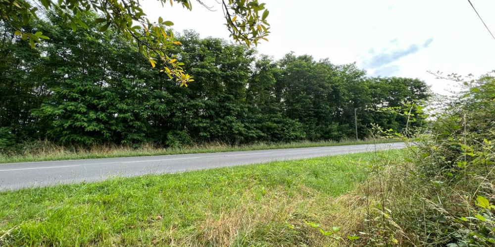 terrain à MENESPLET (24700)