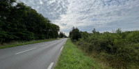 terrain à MENESPLET (24700)