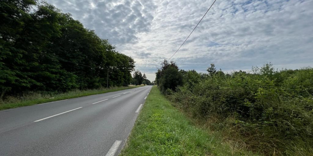terrain à MENESPLET (24700)